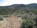 payson05.jpg